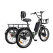 electric trike