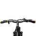 display for nakto cruiser ebike